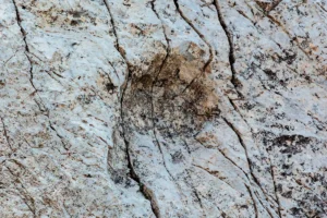 [Aggregator] Downloaded image for imported item #92182