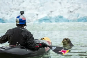 [Aggregator] Downloaded image for imported item #92179