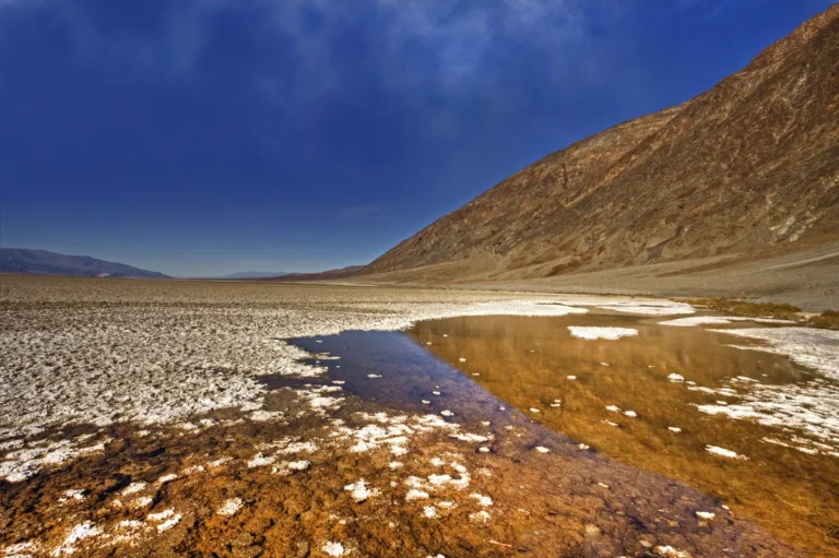 [Aggregator] Downloaded image for imported item #95504