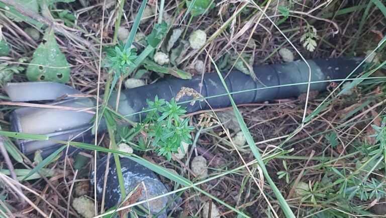 [Aggregator] Downloaded image for imported item #103103