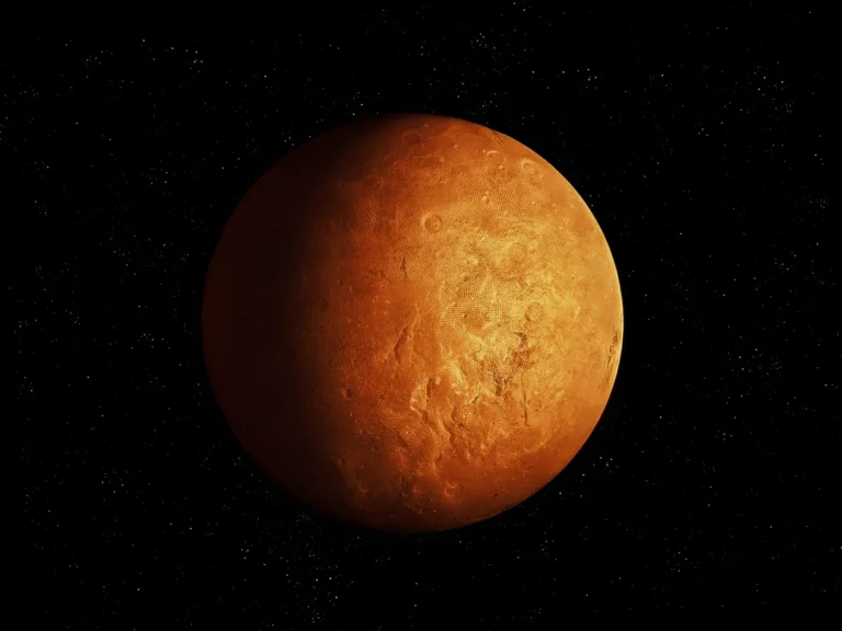 [Aggregator] Downloaded image for imported item #102995