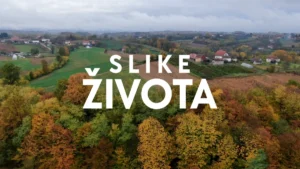 [Aggregator] Downloaded image for imported item #102970