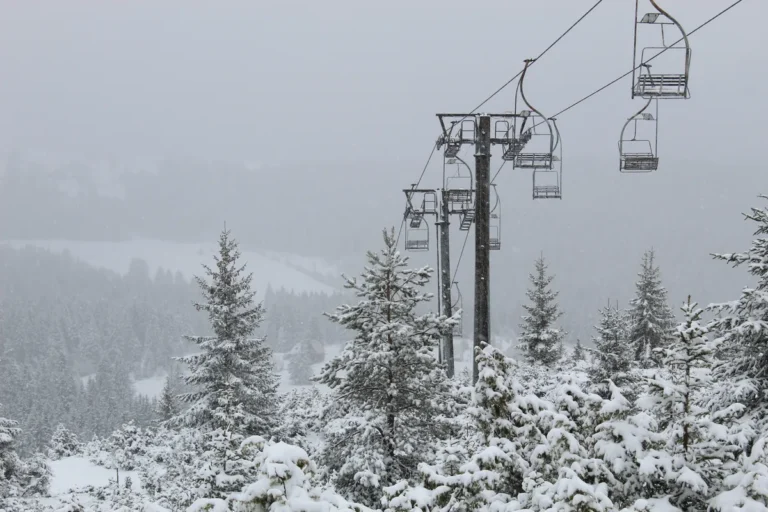 [Aggregator] Downloaded image for imported item #110206