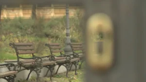 [Aggregator] Downloaded image for imported item #109573