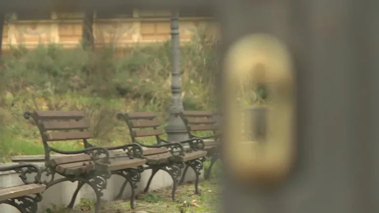 [Aggregator] Downloaded image for imported item #109573