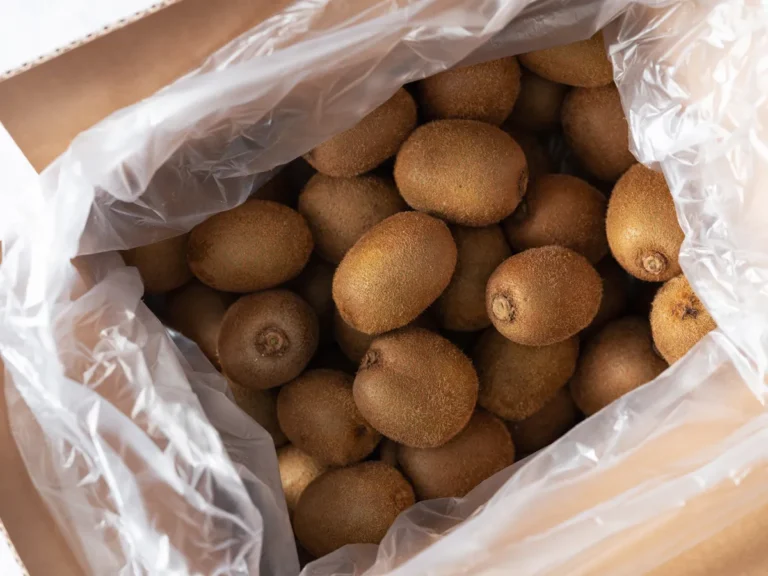 [Aggregator] Downloaded image for imported item #119706