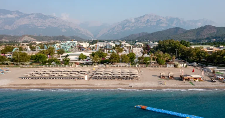 [Aggregator] Downloaded image for imported item #115735