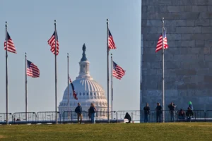 [Aggregator] Downloaded image for imported item #114446