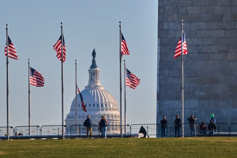 [Aggregator] Downloaded image for imported item #114446