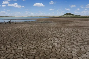 [Aggregator] Downloaded image for imported item #117055