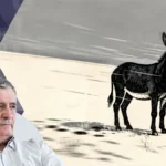 [Aggregator] Downloaded image for imported item #117760