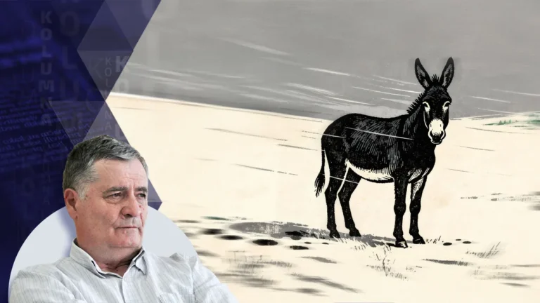 [Aggregator] Downloaded image for imported item #117760