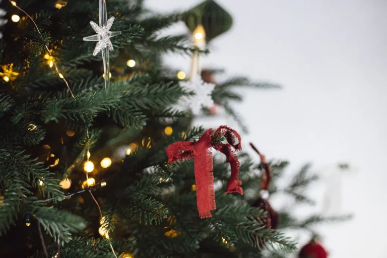 [Aggregator] Downloaded image for imported item #119942