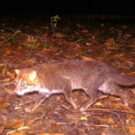 [Aggregator] Downloaded image for imported item #120844