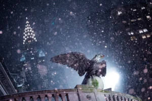 [Aggregator] Downloaded image for imported item #121137