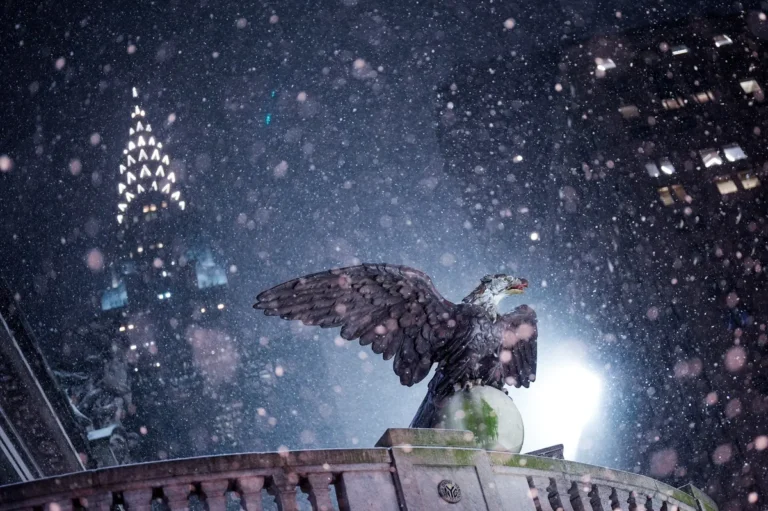 [Aggregator] Downloaded image for imported item #121137