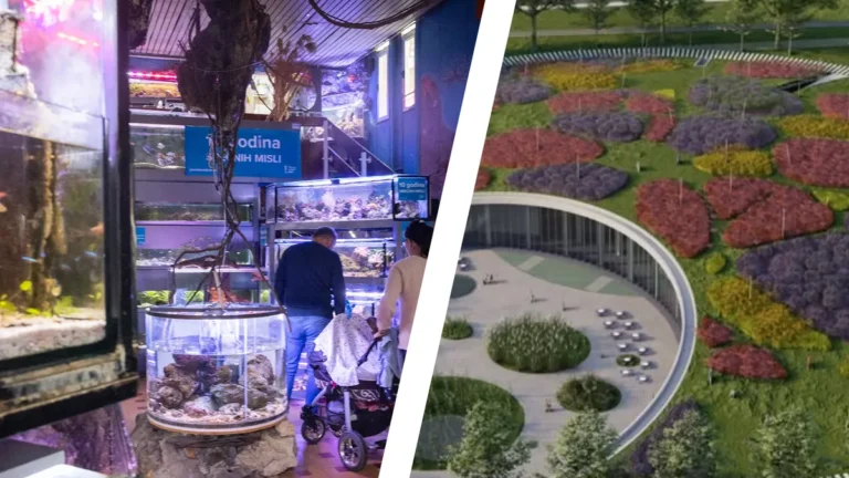 [Aggregator] Downloaded image for imported item #121539