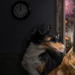 [Aggregator] Downloaded image for imported item #122816