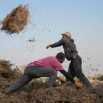 [Aggregator] Downloaded image for imported item #123100