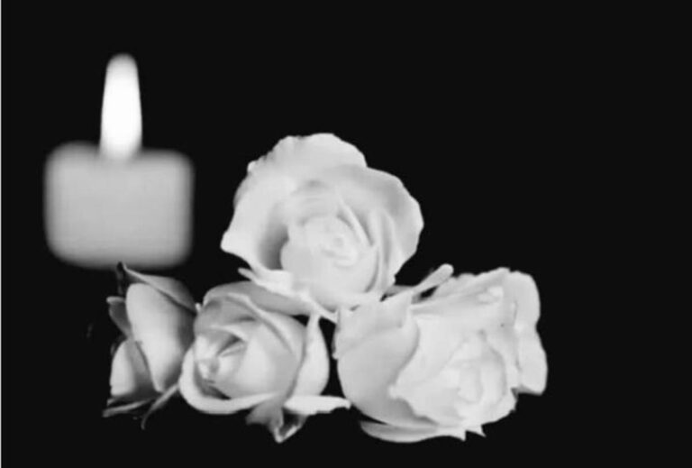 [Aggregator] Downloaded image for imported item #65610