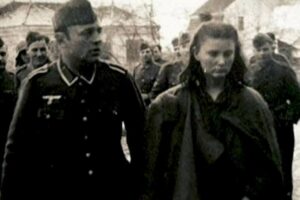 [Aggregator] Downloaded image for imported item #102818