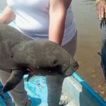 [Aggregator] Downloaded image for imported item #117608