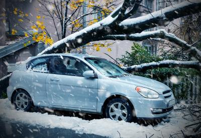 [Aggregator] Downloaded image for imported item #56305