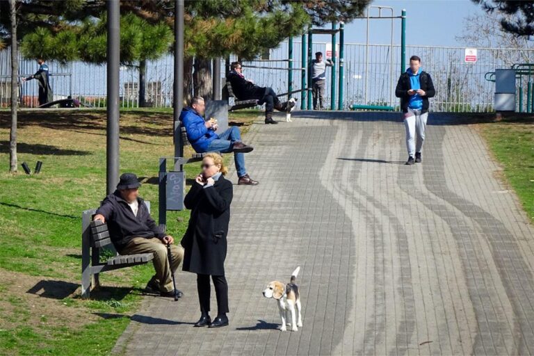 [Aggregator] Downloaded image for imported item #72090