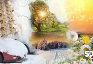 [Aggregator] Downloaded image for imported item #89346