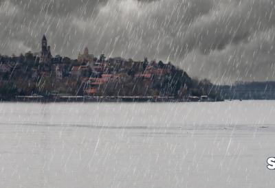 [Aggregator] Downloaded image for imported item #57547