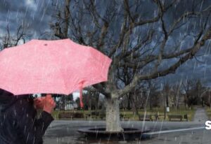 [Aggregator] Downloaded image for imported item #85567