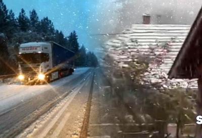 [Aggregator] Downloaded image for imported item #64750