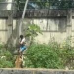 [Aggregator] Downloaded image for imported item #53803