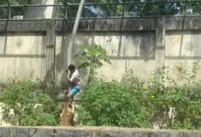 [Aggregator] Downloaded image for imported item #53803