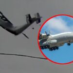 [Aggregator] Downloaded image for imported item #88147