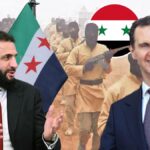 [Aggregator] Downloaded image for imported item #69646