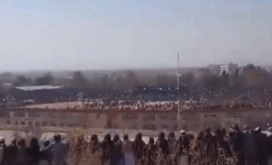 [Aggregator] Downloaded image for imported item #56902