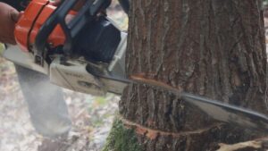 [Aggregator] Downloaded image for imported item #84281