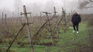 [Aggregator] Downloaded image for imported item #61834