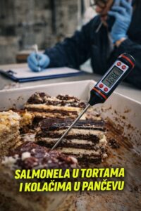 Salmonela u tortama i kolačima u Pančevu gradjani imali opasne simptome