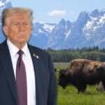 [Aggregator] Downloaded image for imported item #70230