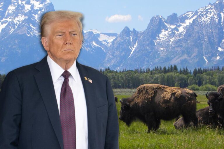 [Aggregator] Downloaded image for imported item #70230