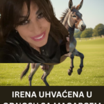 Irena i njeni voljeni magarci vlasnica kozmetičko frizerskog salona Irena Zvezdica