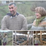 [Aggregator] Downloaded image for imported item #79428