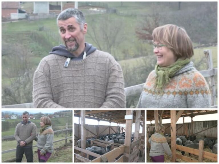 [Aggregator] Downloaded image for imported item #79428