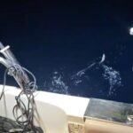 [Aggregator] Downloaded image for imported item #84315