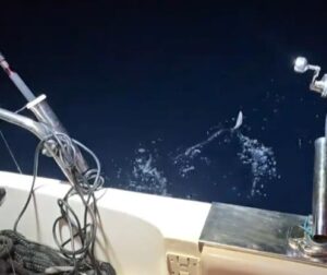 [Aggregator] Downloaded image for imported item #84315