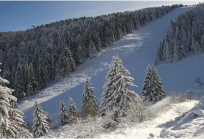 [Aggregator] Downloaded image for imported item #53676