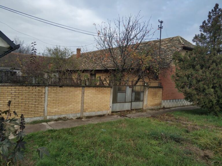 [Aggregator] Downloaded image for imported item #65522