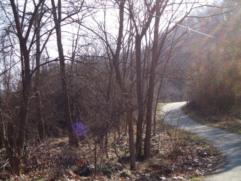 [Aggregator] Downloaded image for imported item #67217